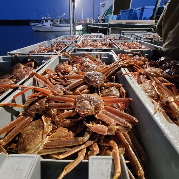 Bateau de crabe