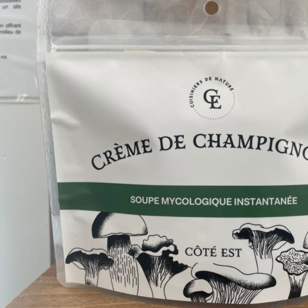Création sans titre (84)